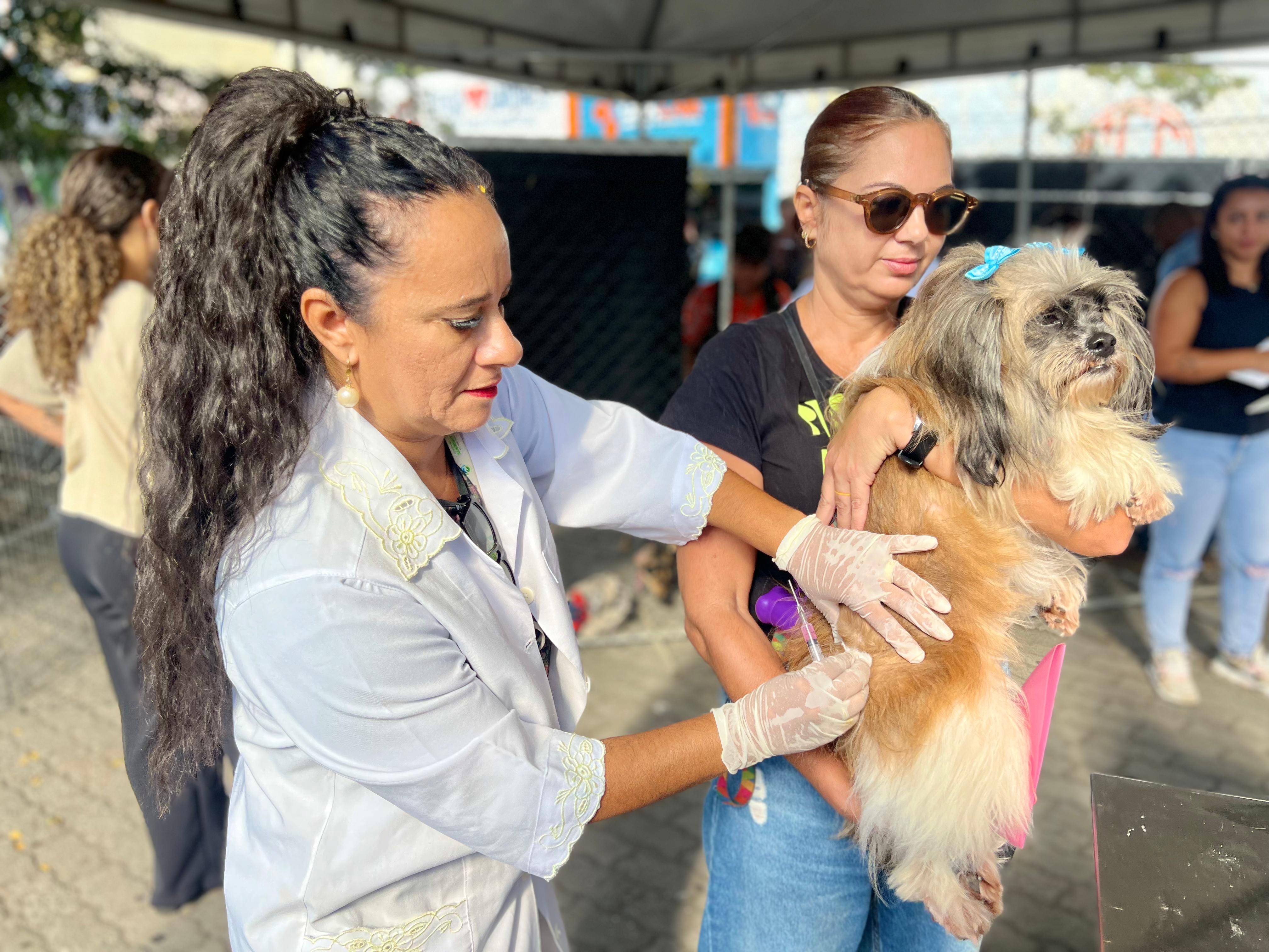 Feira Ecopets levanta debate sobre maus-tratos e conscientização ambiental em Arraial do Cabo