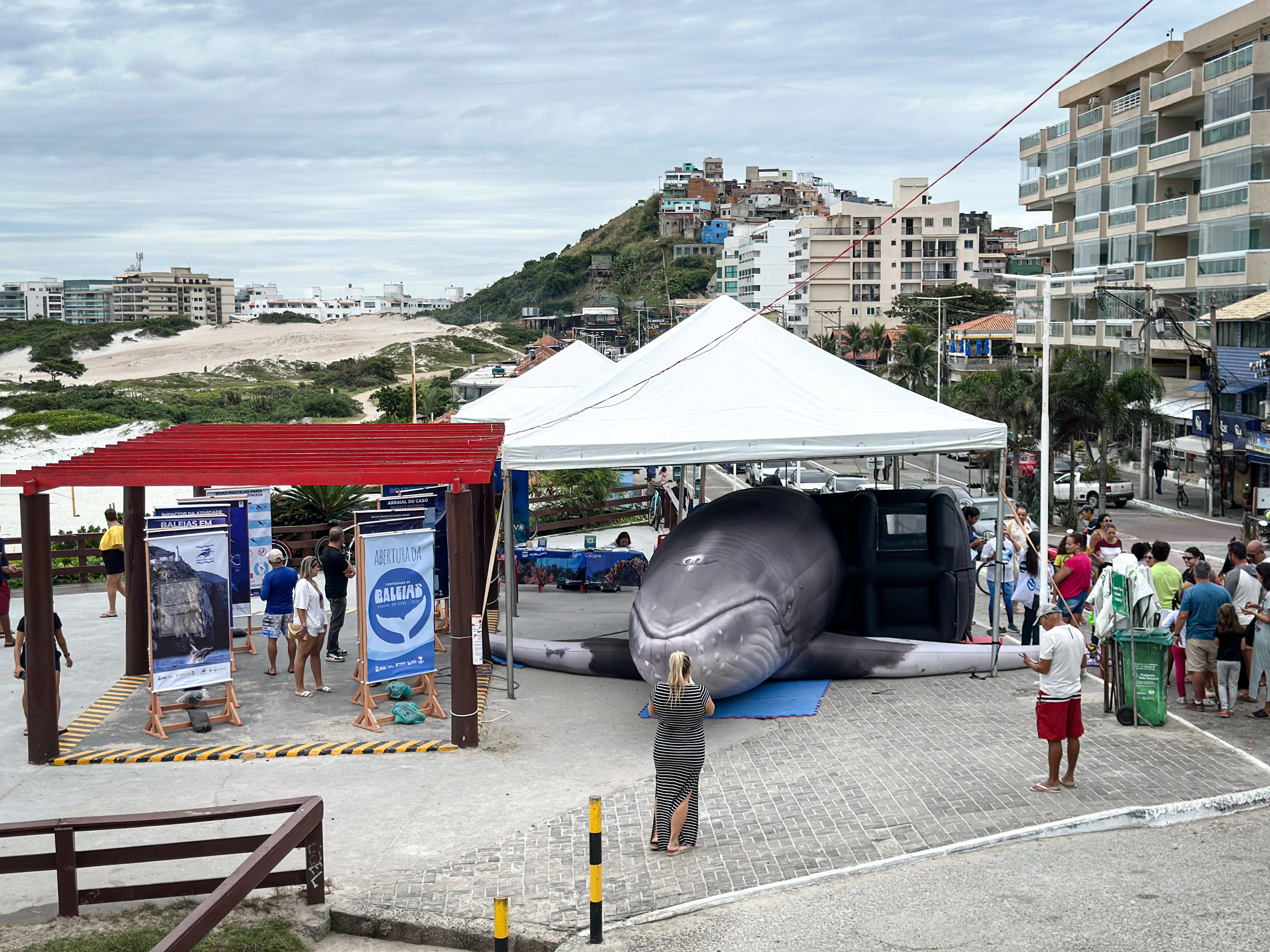 Arraial do Cabo abre oficialmente a Temporada de Baleias com programação educativa e interativa
