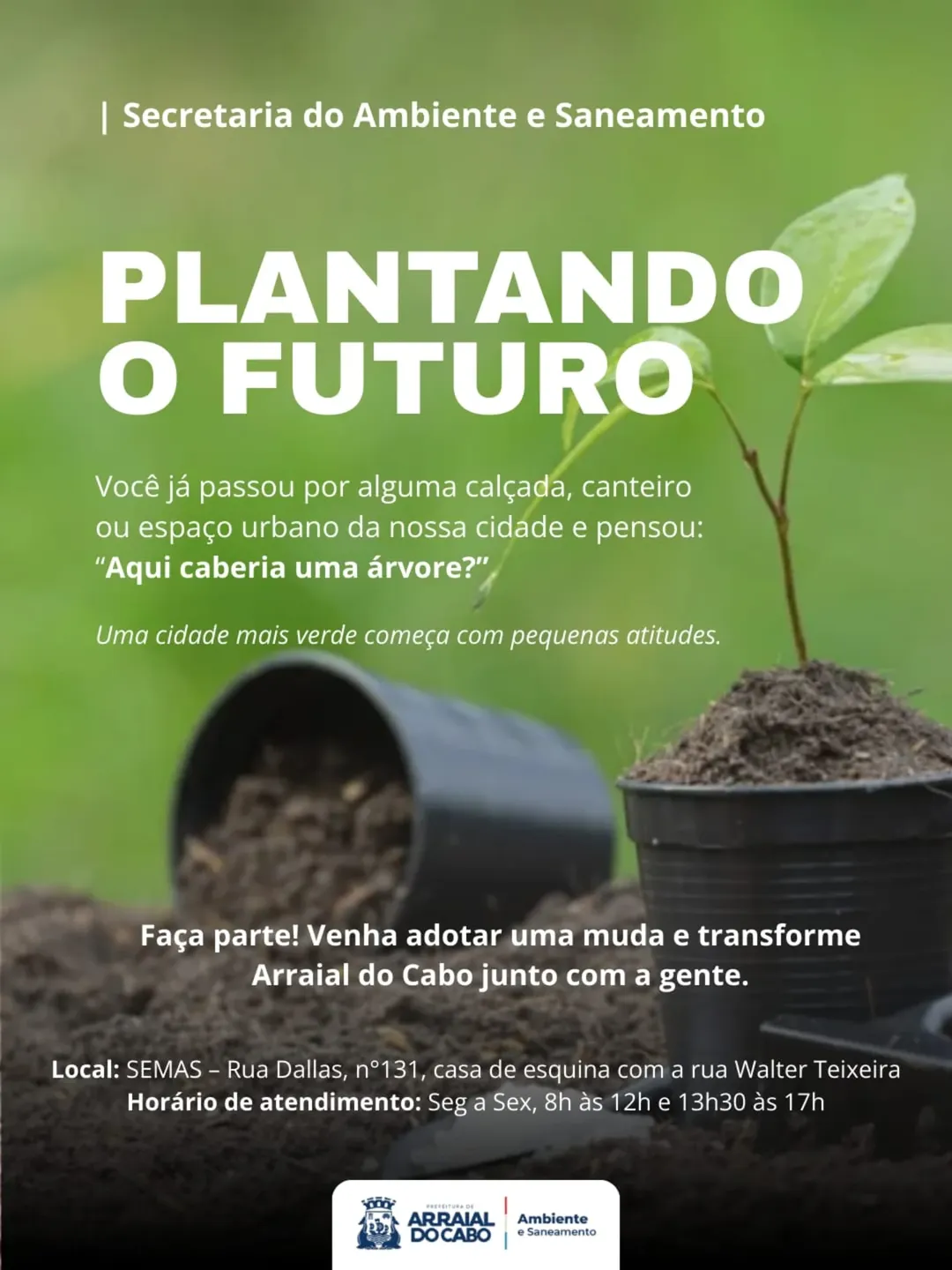 Arraial do Cabo lança projeto "Plantando o Futuro" para arborizar a cidade