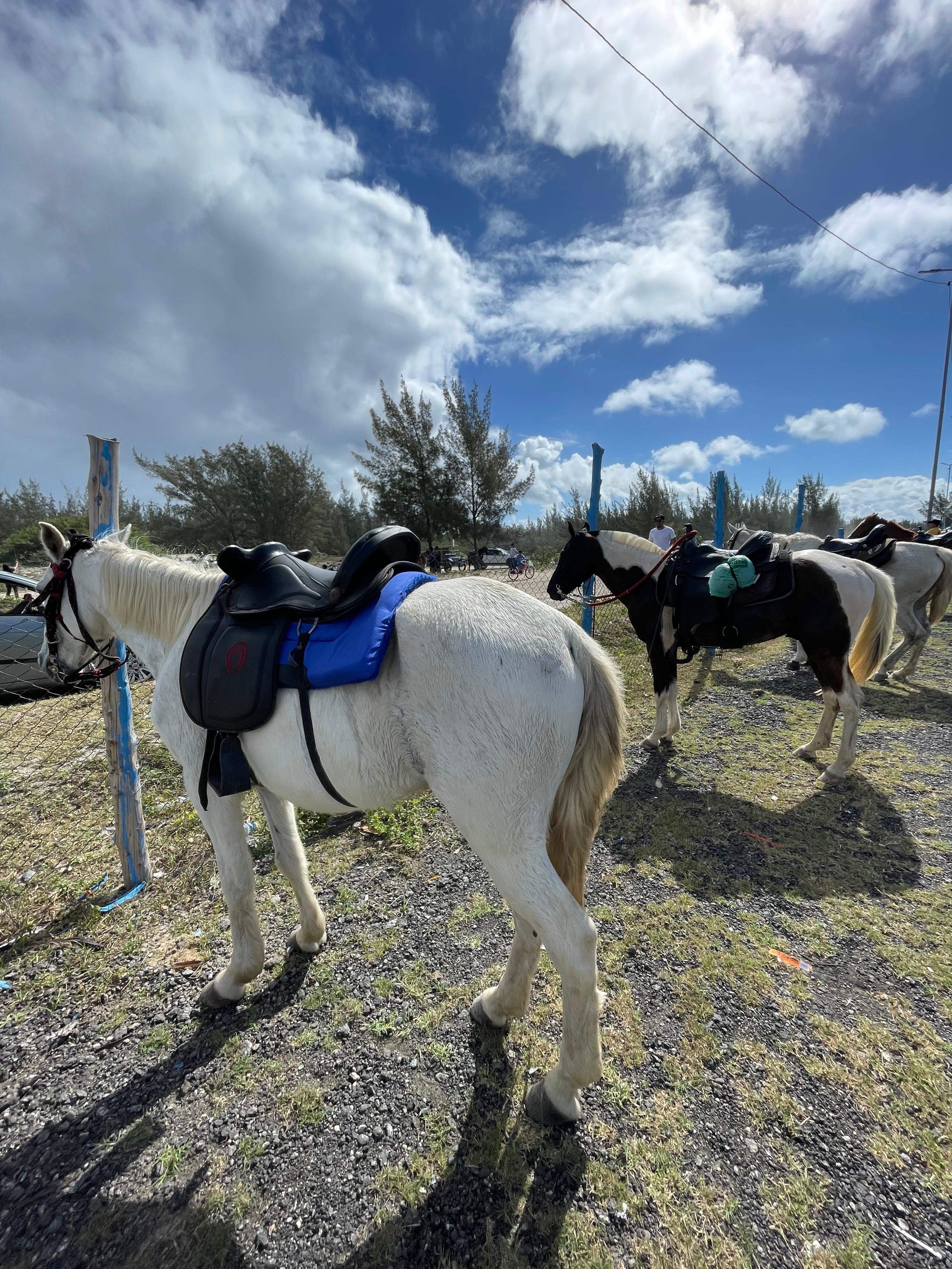 7ª Calvagada Comitiva de Arraial do Cabo marca o fim de semana